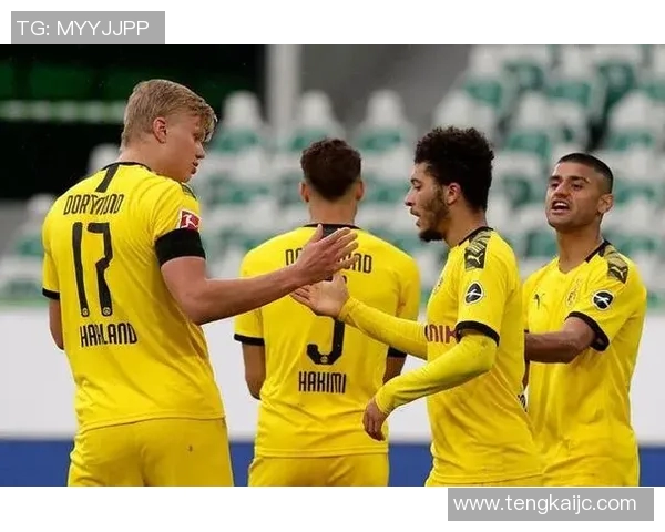 韩国新星效力的德甲球队资料介绍