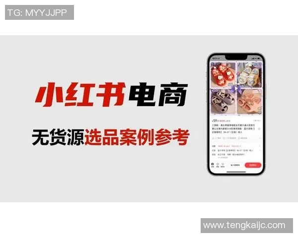 无货源跨境电商模式解析与实践：如何在全球市场中轻松启动并盈利